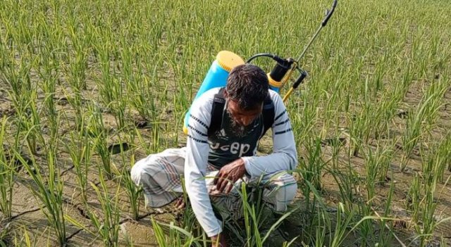 জ্বালানি সংকটে রংপুরে জনজীবন স্থবির, উৎপাদন ও কৃষিতে বিপর্যয়