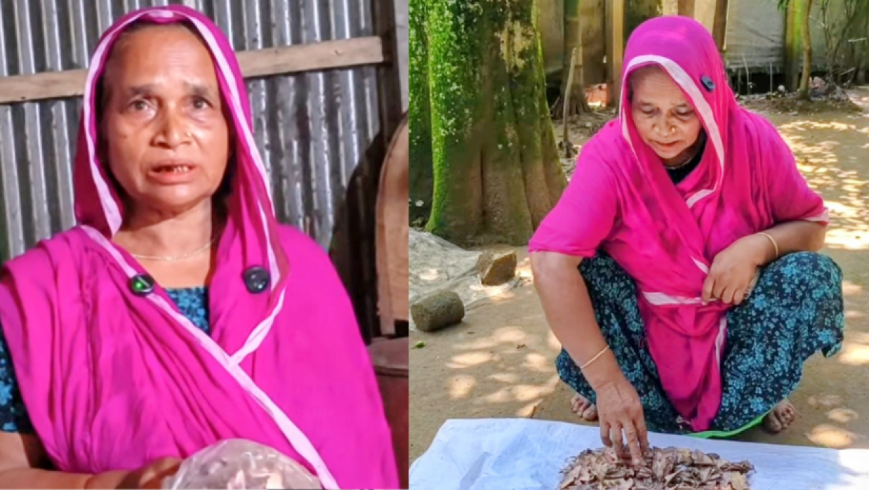 জর্দার কৌটায় ১০ বছরের সঞ্চয়, খুলে দেখলেন সব টাকা নষ্ট