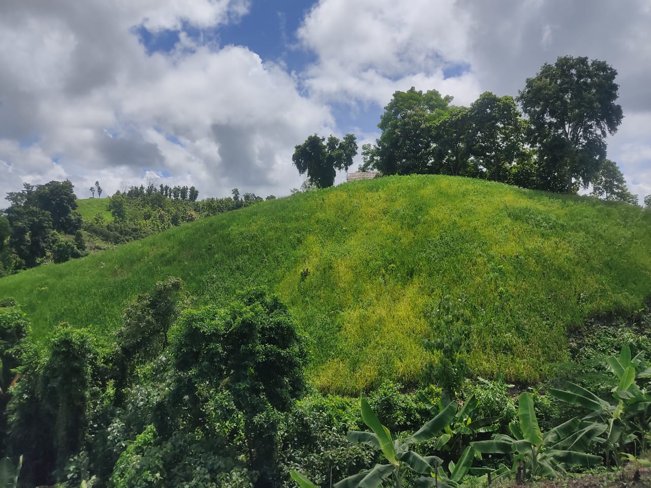 সবুজে ঘেরা পাহাড়ী অঞ্চলে জুম চাষ একমাত্র উপায়