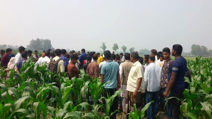 ভুট্টাক্ষেত থেকে ৪ বছরের শিশুর মরদেহ উদ্ধার, রাণীশংকৈলে চাঞ্চল্য