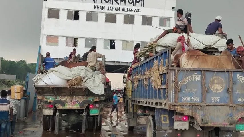 ঈদ সামনে রেখে দৌলতদিয়া ঘাটে পশুবাহী ট্রাকের চাপ বৃদ্ধি