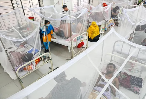 ডেঙ্গু সংক্রমণ ৫০ হাজার ছাড়াল, বাড়ছে মৃত্যু