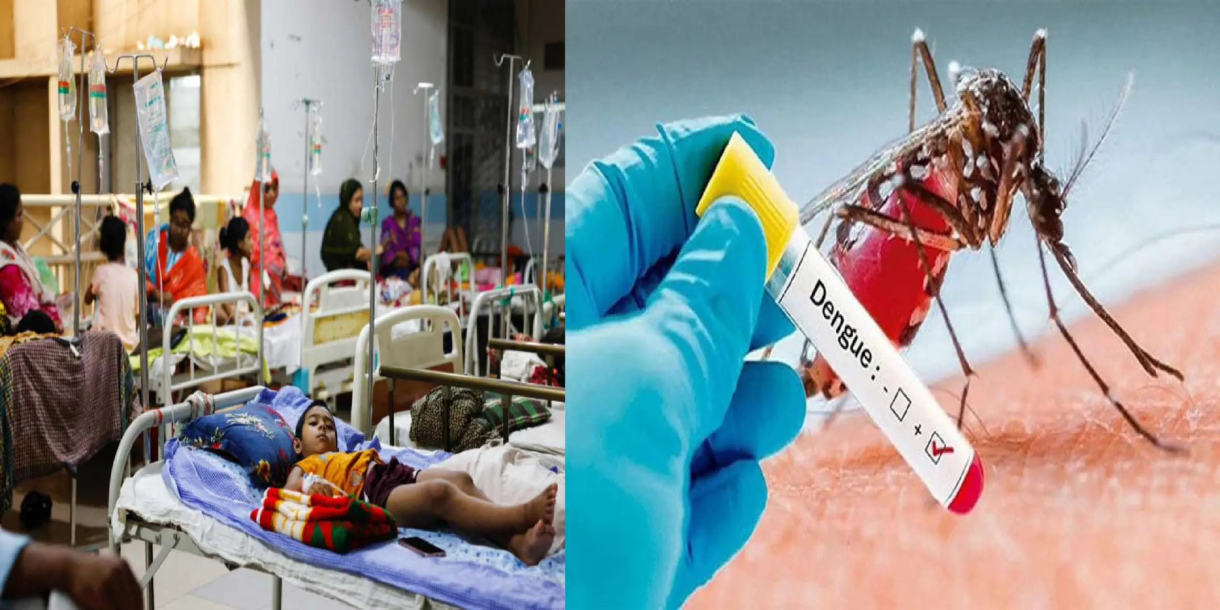হাম-ডেঙ্গুর প্রকোপে পিরোজপুর সদর হাসপাতালে রোগীর ঢল, বেড না পেয়ে মেঝেতেই চিকিৎসা