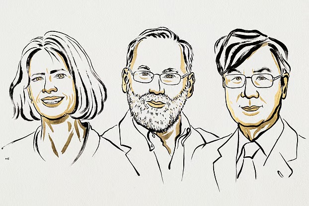 চিকিৎসাবিজ্ঞানে নোবেল জয়: ইমিউন টলারেন্সে যুগান্তকারী কাজ ৩ বিজ্ঞানীর