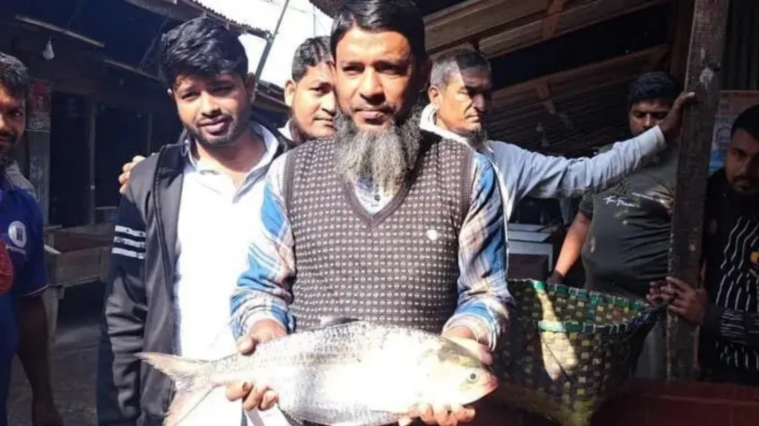 ভোলার মেঘনায় ধরা পড়ল দুই কেজি ৭৫ গ্রামের ‘রাজা ইলিশ’
