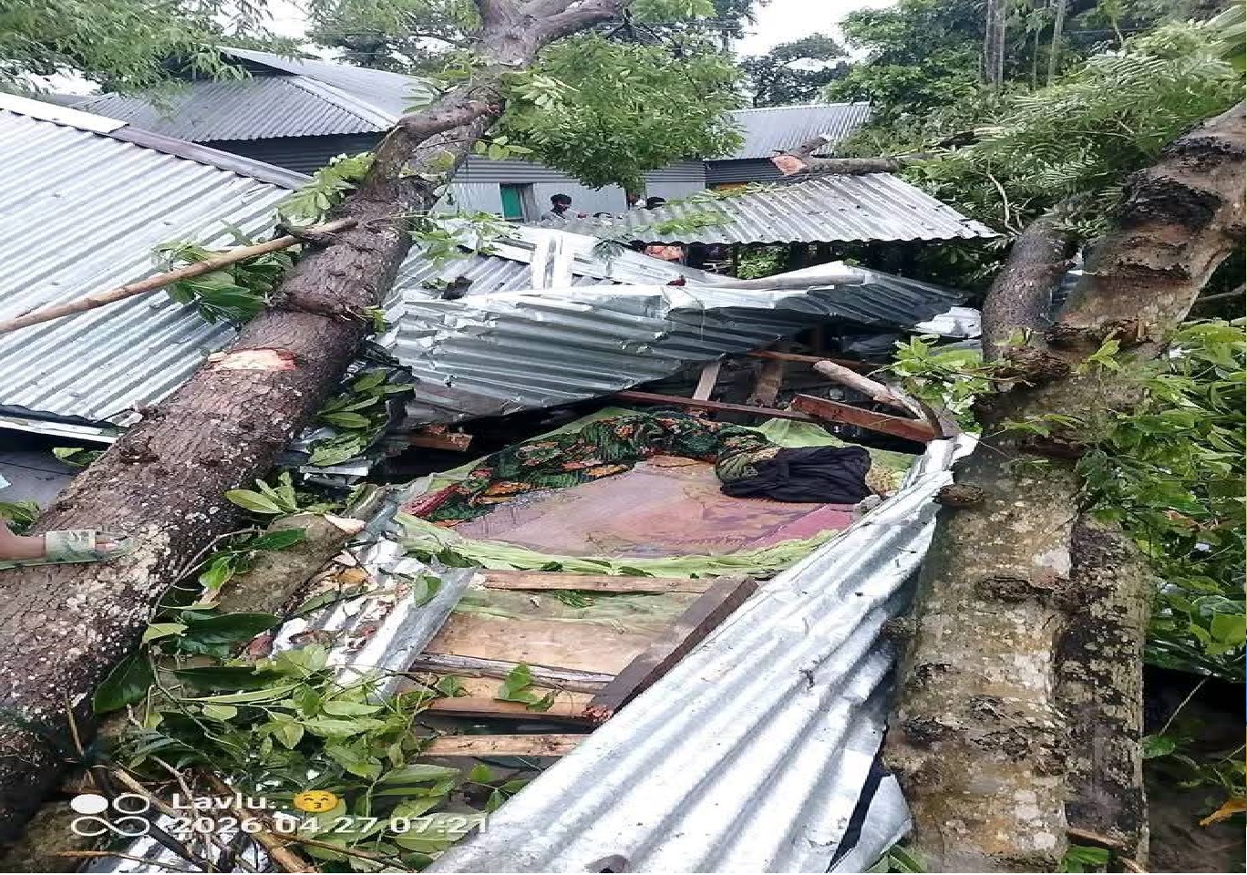 বৈশাখী ঝড়ে ঘরের ওপর গাছ ভেঙে পড়ে মা ও দুই মেয়ের মৃত্যু