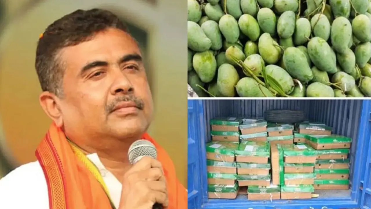শুভেচ্ছা উপহার হিসেবে শুভেন্দু অধিকারী ও ত্রিপুরায় ১১০০ কেজি আম পাঠাল বাংলাদেশ