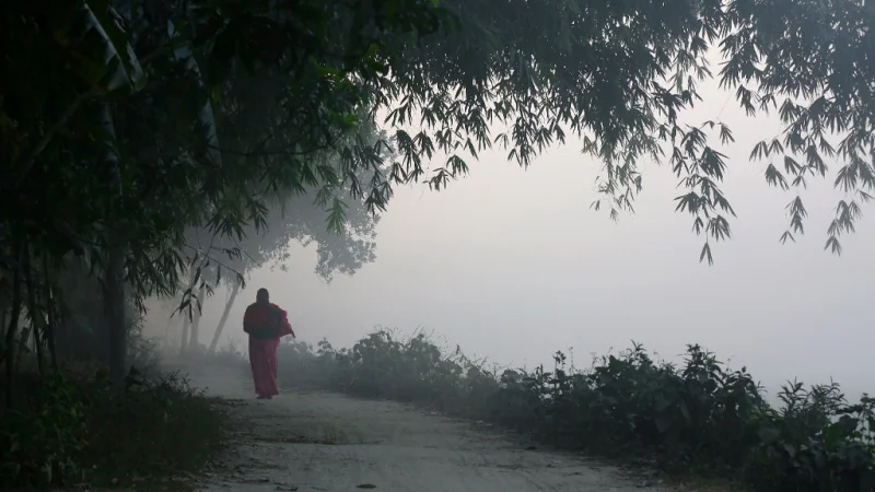 ৯ জেলায় মৃদু শৈত্যপ্রবাহ, সারাদেশে ঘন কুয়াশার সতর্কতা