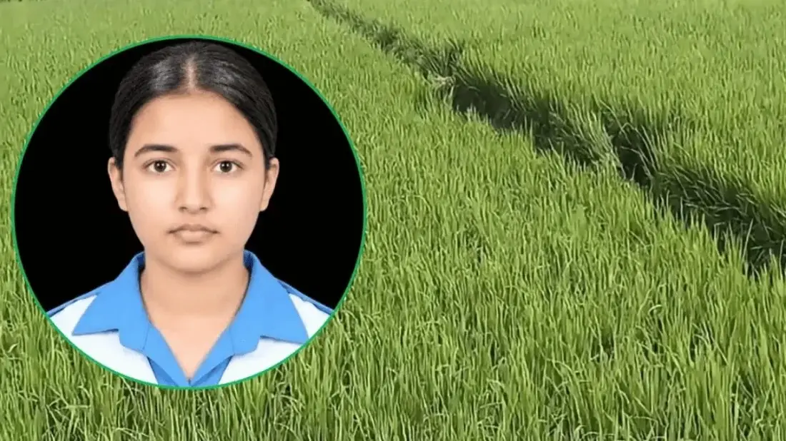 কুমিল্লায় ধানক্ষেত থেকে স্কুলছাত্রীর মরদেহ উদ্ধার, হত্যা মামলা