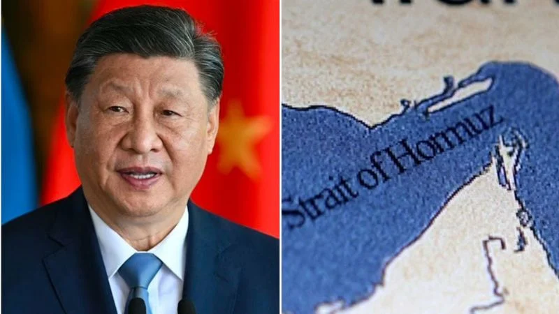 হরমুজ প্রণালিতে যুদ্ধজাহাজ পাঠাতে চীনের সম্ভাবনা কম