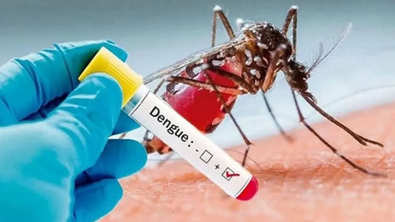 ডেঙ্গুতে আরও ২ মৃত্যু, আক্রান্ত ৯৫৫