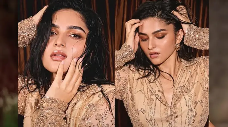 ভুয়া টুইটে বিপাকে অভিনেত্রী কায়াদু লোহর