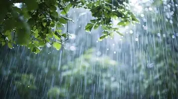 ভারী বৃষ্টির আভাস, তাপমাত্রার পারদ নামছে