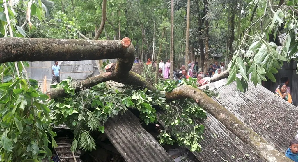 লোডশেডিংয়ে গাছতলায় স্বস্তি খুঁজতে গিয়ে গাছচাপায় বৃদ্ধার মৃত্যু